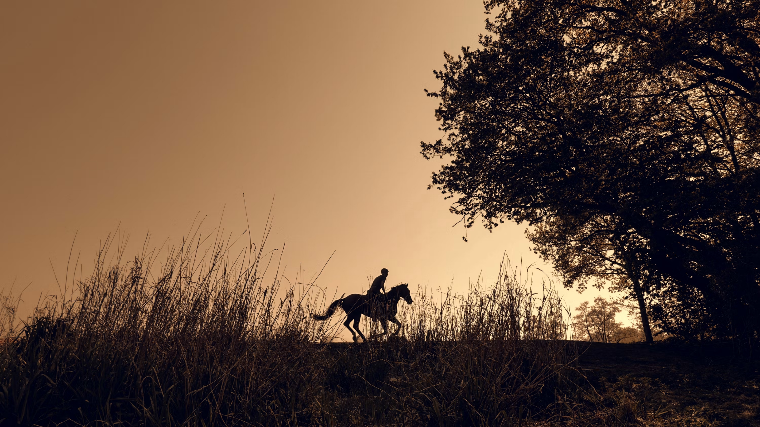 Relox - Caballo